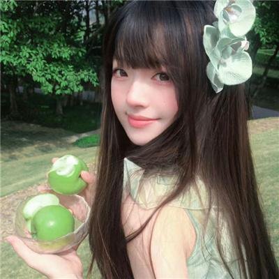 龙虎双侠
