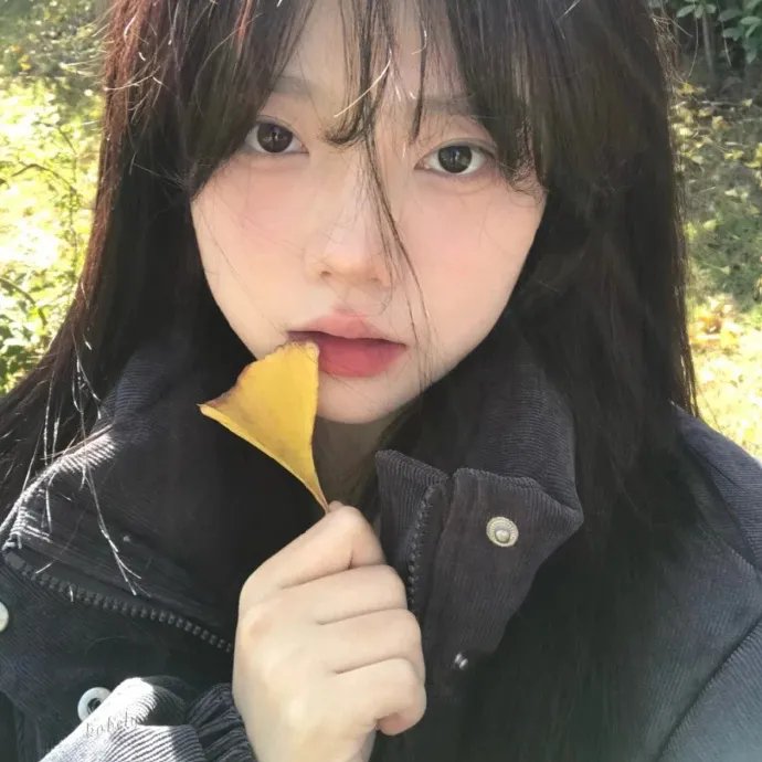 林中绮谭